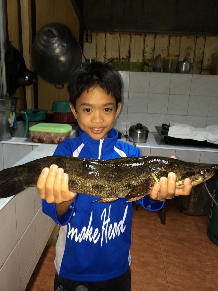 ทริปปีใหม่ที่สุราษฎร์-ต่อเชี่่ยวหลาน กับ Snakehead Angler club