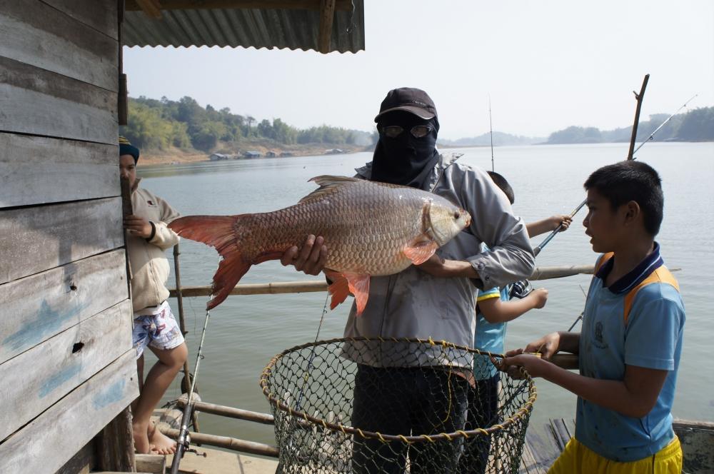 ได้ขึ้นมาเป้นปลาตัวที่ 3 ครับ ตัวนี้ 10 kg พอดี หนักมาก:cool: :cool: :cool: