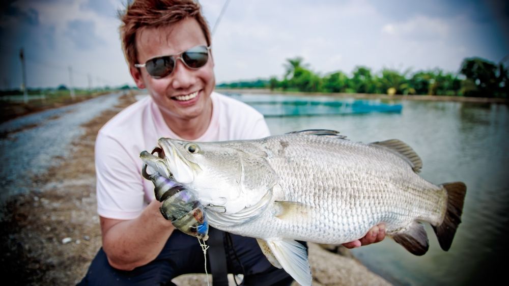 เหยื่อ Swimbait
Geecrack Gilling!  :cheer: :cheer: