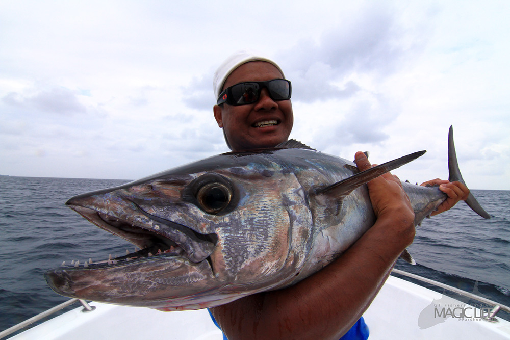 



Dogtooth  ใครซักคนเขียนชื่อมันไว้เป็นภาษาไทยว่า "ฟันหมาบ้า"

ผมเคย Jigging  ได้ไซด์ใหญ่ย