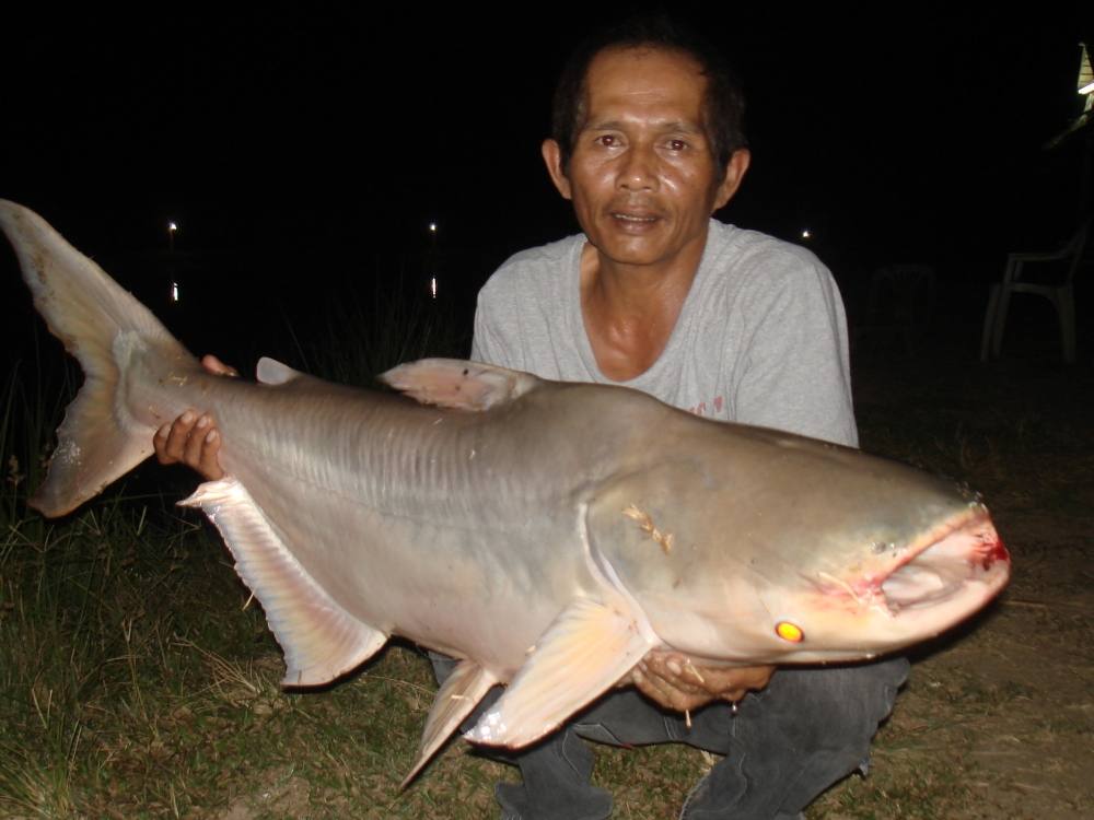 สุดท้ายนี้ กระผมขอขอบคุณนักกีฬา ร้านอุกรณ์ตกปลาทุกๆร้านที่ให้การสนับสนุน นักกีฬาทุกท่านที่มีสปิริตมา