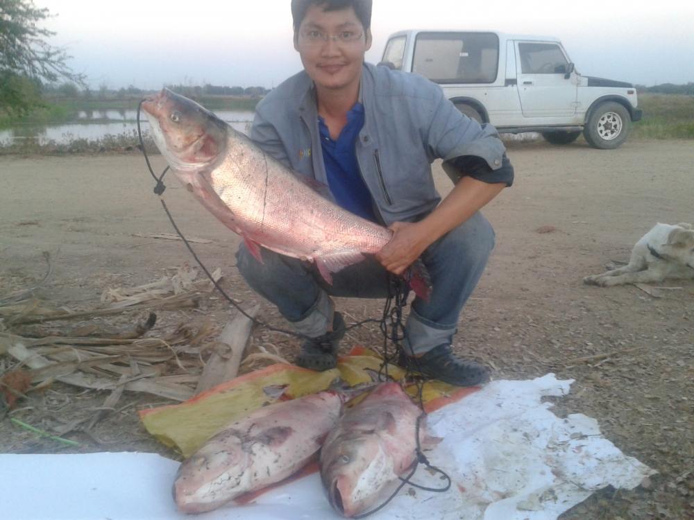 ปลารวมครับ โปรชาวจีน ผู้สนับสนุน พาหนะ และตักปลาให้นิ่มนวลมากๆ
ขอบคุณครับผม