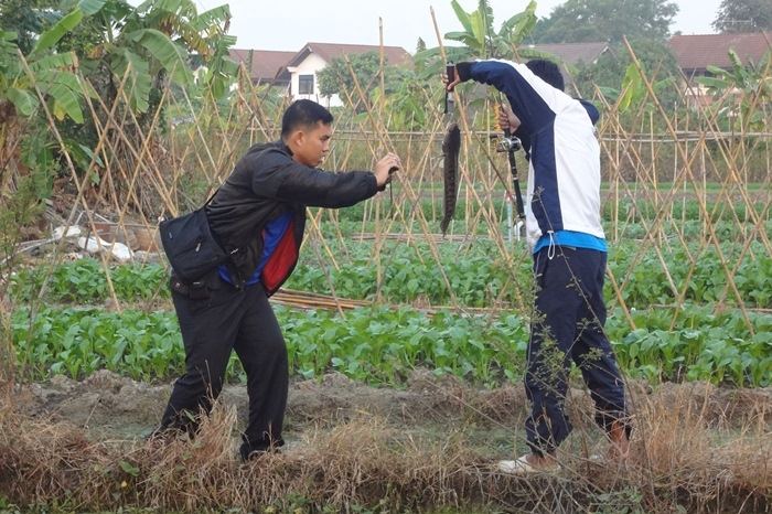 ผลงาน ชะโดไซร์โลกว่าๆ 