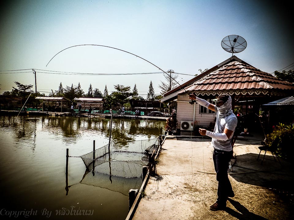 โดนอีกแล้ว อะไรเนี่ย ฝีมือสุดๆ :smile: