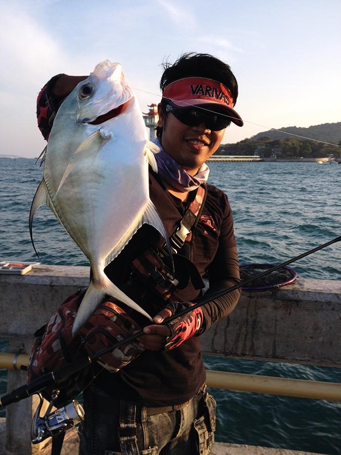  [center]หมูกับไอ้เปียปลายสะพานที่กัด micro jig

เปีย, เปี๊ยะ หรือ กะมงแก้มบาง Longfin Trevally (C