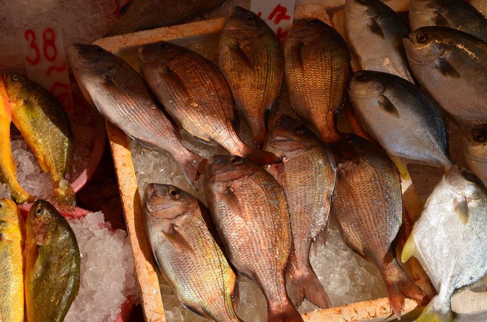 ถามชื่อปลาทะเล 2 ตัวในตลาดสดบนเกาะฮ่องกงหน่อยครับ
