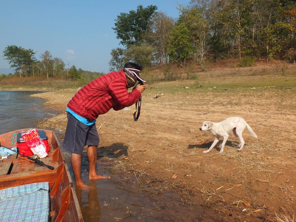 เจอหมาติดเกาะเลยแวะเอาเสบียงที่มีติดมาให้มันกิน