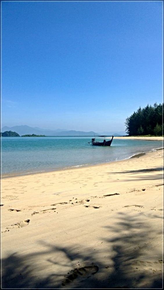 
 [center]ใกล้เที่ยง เราได้มาแวะพักที่ริมชายหาด ชมทิวทันศ์ ในป่าสนลึก นั้นมันผมเอง ( ป่วนท้อง )   :