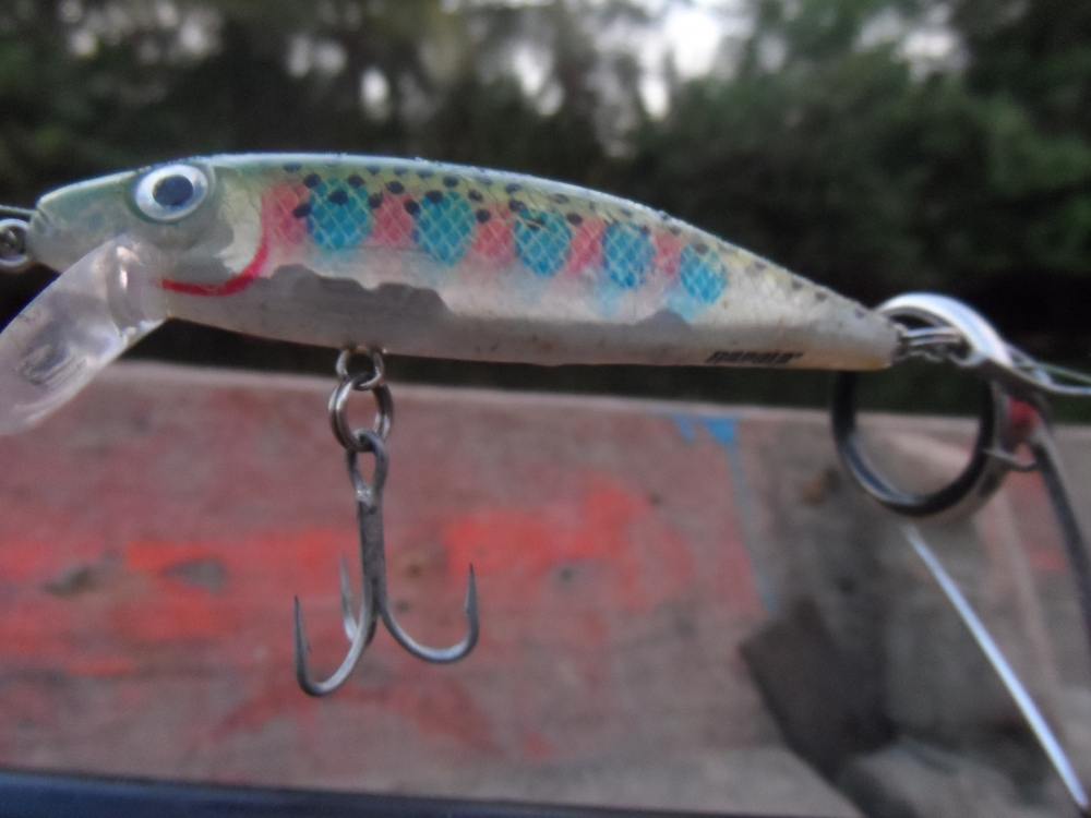 กัดตัวนี้หละครับ rapala xr-cd 07  :love: :love: :love: