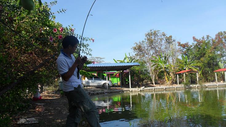 ถ่ายรูปมาน้อย มาดูปลาผิดQครับ