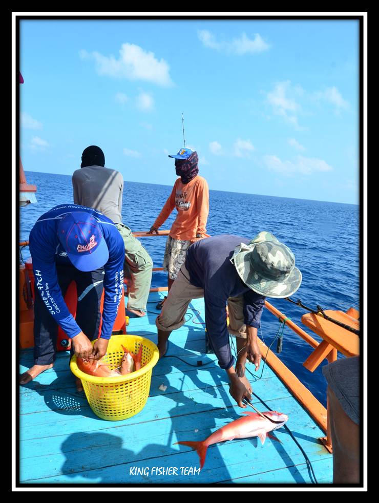 ท้ายเรือก็ชลมุนวุ่นวายครับ.....เพราะกินพร้อมกันทั้งลำเรือ...หย่อนตรงไหนก็กินครับ..ต้องขอขอบคุณไต๋แจว