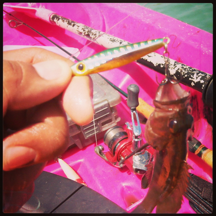                                                                                   LURE : micro jig S