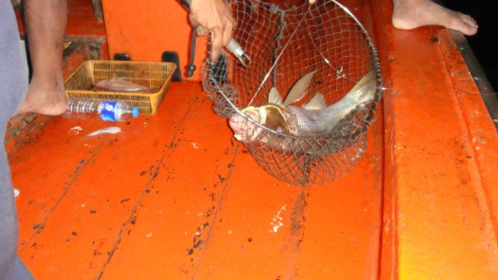 มาและครับ ปลาตัวแรกของทริป เฮียตงเปิดทริปได้สวยมากค๊าบบบ  :cool: :cool: