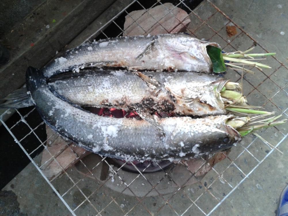  [b]หลังจากกลับมาถึงบ้าน ปลาตายครับเพราะแดดร้อนจริงๆ   ตอนเย็นทำอาหารโดยการเผาเกลือปลาช่อน [/b] :umh