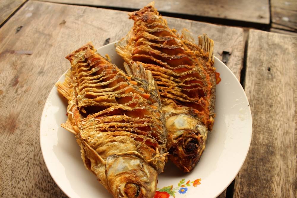 ปลากะมังโลละ 20 บาท ทอดร้อนจิ้มกับน้ำปลาพริก ต้องขอข้าวร้อนๆสัก 2 จาน