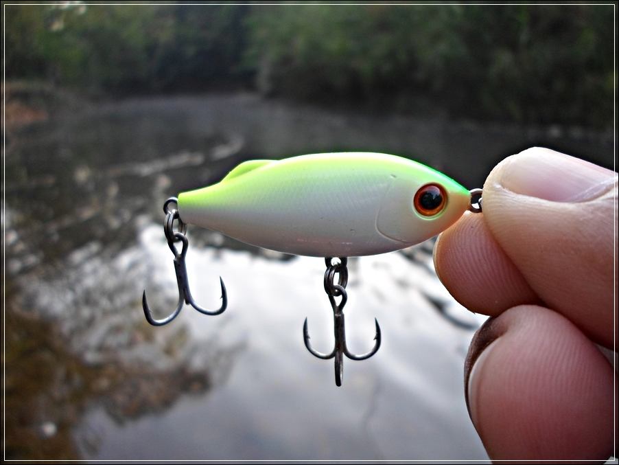 
 [center]อีกสีนึง ขาวหลังเหลืองหัวขียว  

[b]Lure : Tackle House - SHORES Sinking Pool Shad 41mm