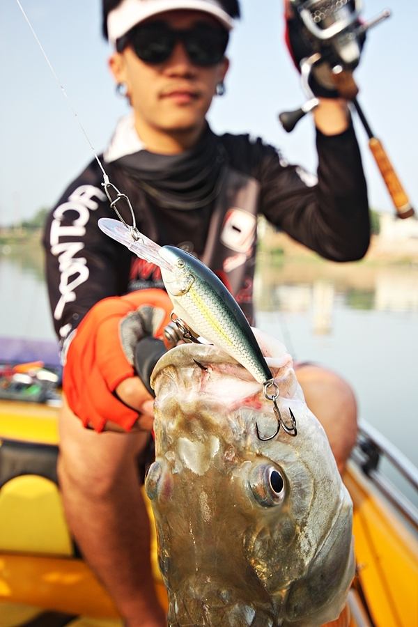 
 [center]
 [b]Chaophaya Fishing Trip 

ปลากระสูบแม่น้ำน้อย 

Hook : Mustad ULTRAPOINT รุ่น TG