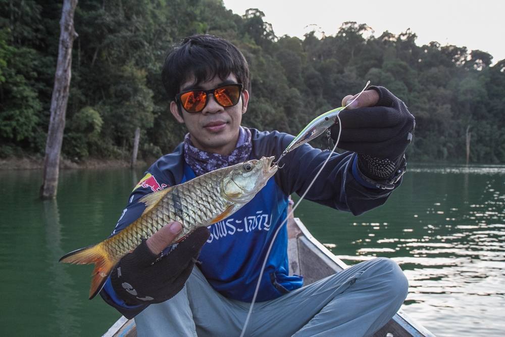  [b][center]เจ้ากระสูบตัวจิ๋ว หลงกล Rapala FlatRap ของน้าเหน่[/b] [/center]