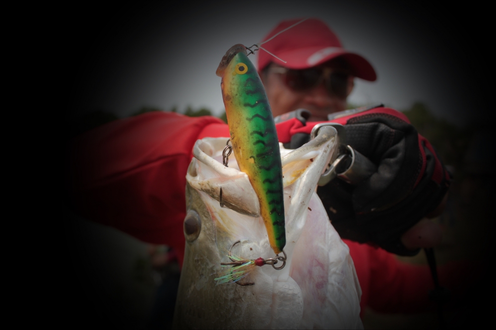 RAPALA_SKITTER POP _SP 9 CM_SURFACE_POPPER  _SP09  FT...................