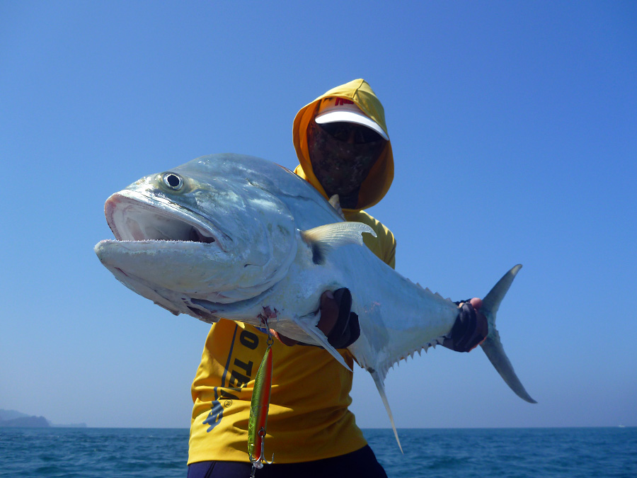  [center]นุ กับ ปลาสละ Talang Queenfish

จากเหยื่อ TackleHouse Contact FEED SHALLOW105F 105mm 16g
