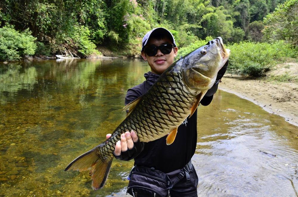 เอาแบบยื่นสุดแขนไปเลย ผมจองหัวและพุงครับ ปลาใครผมไม่สนใหญ่ๆแบบนี้หัวกับพุงต้องเสร็จผม เอิ้กๆๆๆๆ :lov