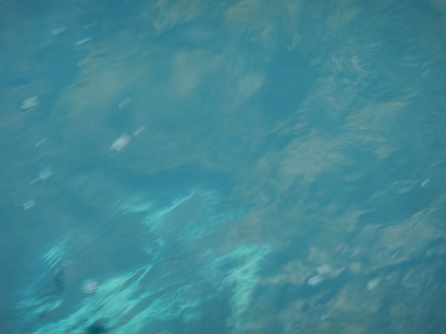 

     เกมส์เย้อเข้าดึงออกอยู่สักคู่ก็เห็นแผ่นสีเงินควงอยู่ใต้น้ำครับ.