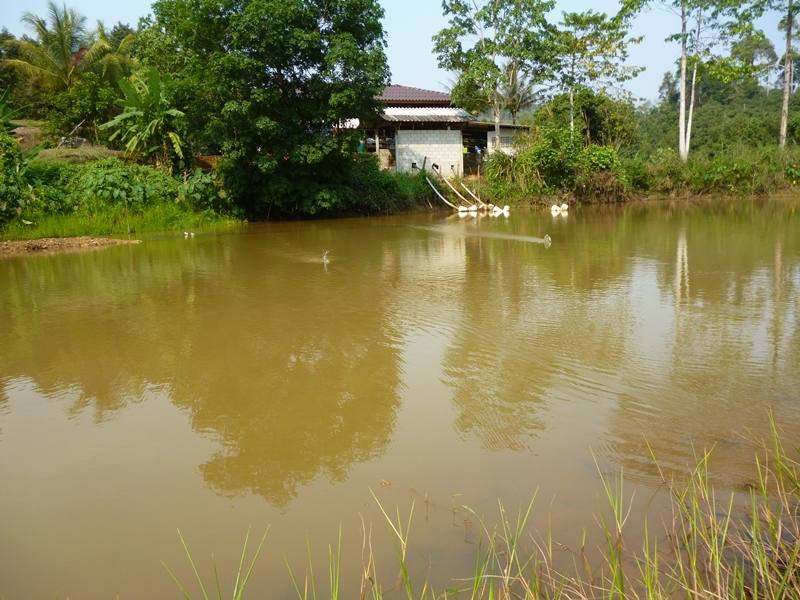 แข่งเรือเร็วหรืออะไรน่ะ มาคู่เลยน้ำกระจาย  :laughing: :laughing: :laughing: :laughing: