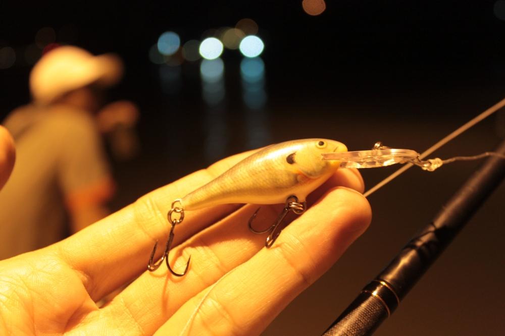 RAPALA Shad 4 ................เด็กๆๆ เที่ยวดึกจัง.....อีกตัวครับ....คืนนี้ครับ  :cheer: :love: :love