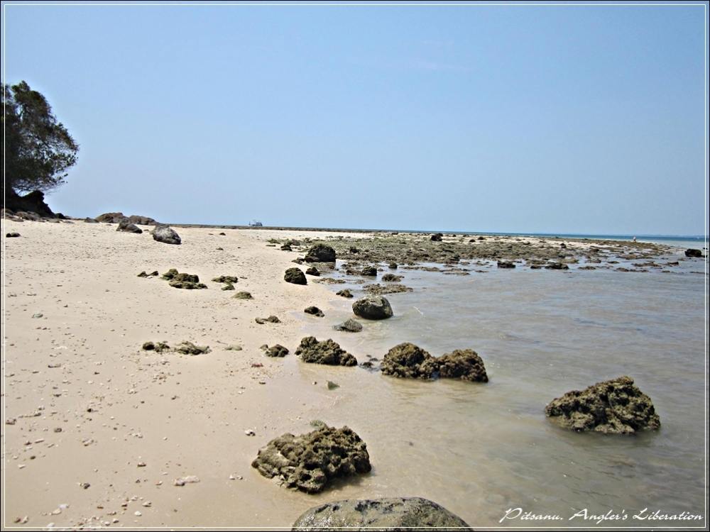 
 [center]เดินมาสักพัก ก็จะถึงแนวหินสลับทราย 
ที่จะเห็นได้ก็ ตอนที่นํ้าทะเลมันลงแห้งสุดๆแบบวันนี้ 