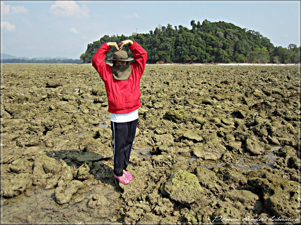 
 [center]นิดนึงก็เอา เว้ย...... ผบ.ตรู   :laughing:[/center]

