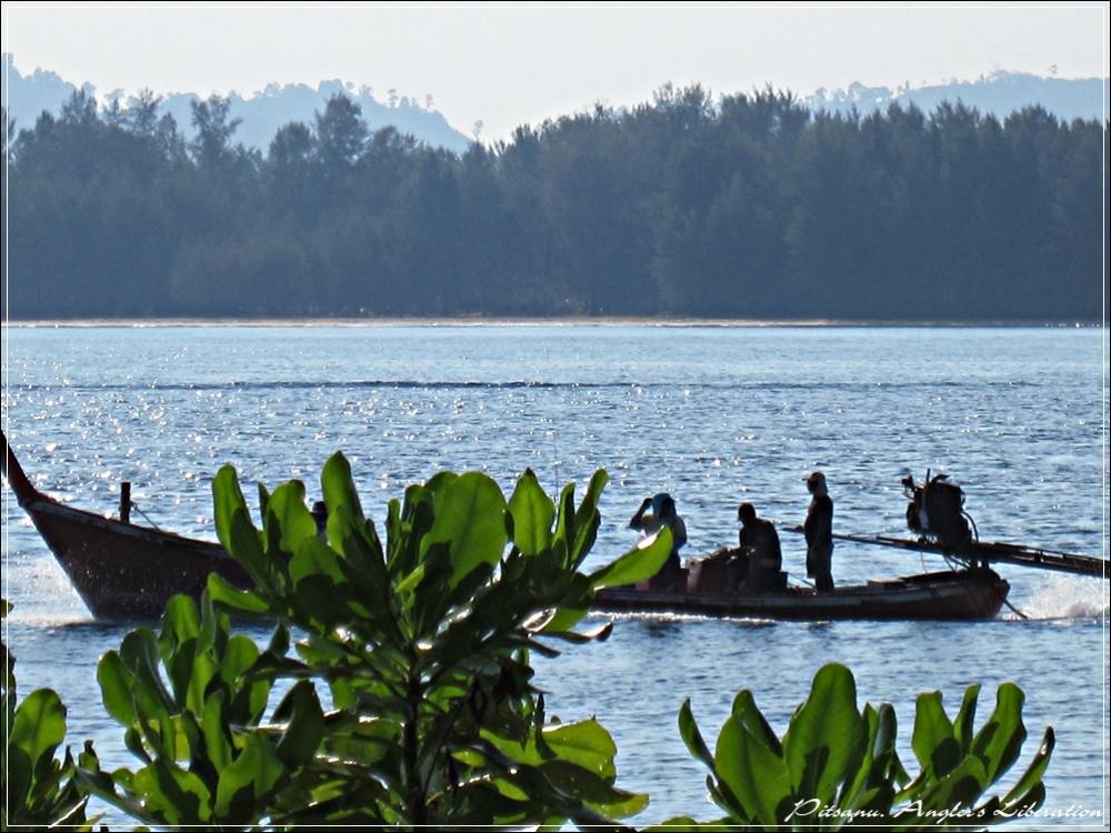 
 [center]ได้แต่นั่งมองเรือตกปลาที่แล่น ผ่านไปมาจนอิจฉาเค้า[/center]

