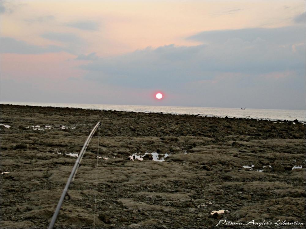 
 [center]ภาพสุดท้ายของทริปวันที่ 3 

ผมเดินกลับที่พักพร้อมปลาหนึ่งพวก ที่จะเอาไปเป็นเสบียง 
ไปถ