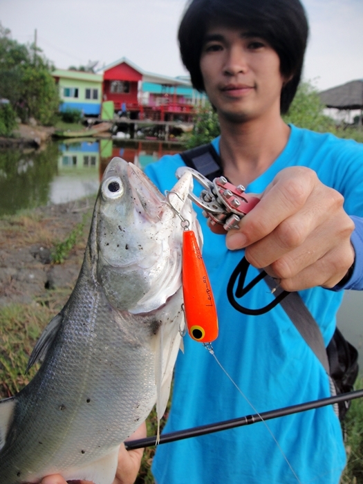 ทริปนี้ผมและน้าฟิว ใช้เวลาเลือกวันและดูน้ำกันอย่างละเอียด  เพราะปลากุเราเรื่องน้ำและลม สำคัญมากๆ   :