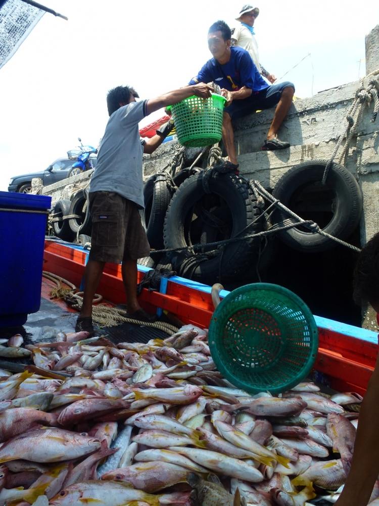 พักใหญ่ละครับกว่าจะหมดกองนี้