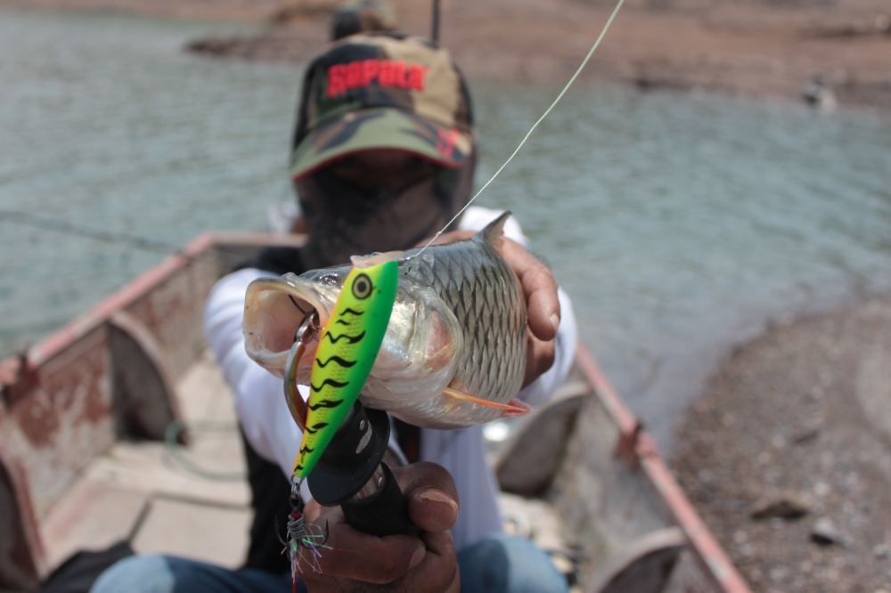 Fish : Rapala Skitter pop 9 Cm    .....................................................อ.ใหม่ตีไม่ลิ