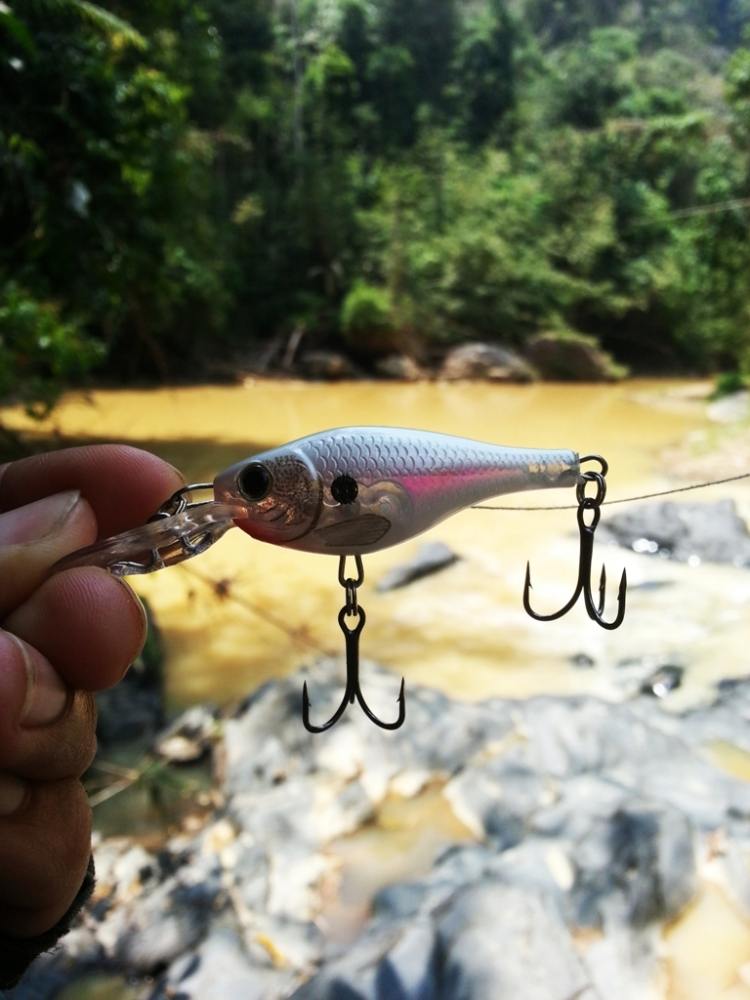 

 [center]หลังจากใช้ RAPALA X-RAP COUNTDOWN - 5CM อยู่นานก็ไม่กัดเลยเริ่มคิดฟุ้งซ้านไปว่าสีมันคงก