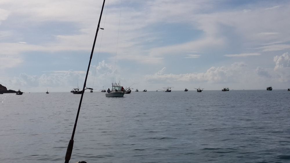 เรือตกปลาร่วม ๆ สี่สิบกว่าลำ มารวมตัวกันโดยไม่ได้นัดหมาย ที่เกาะมัดหลัง หาดเฉวง 