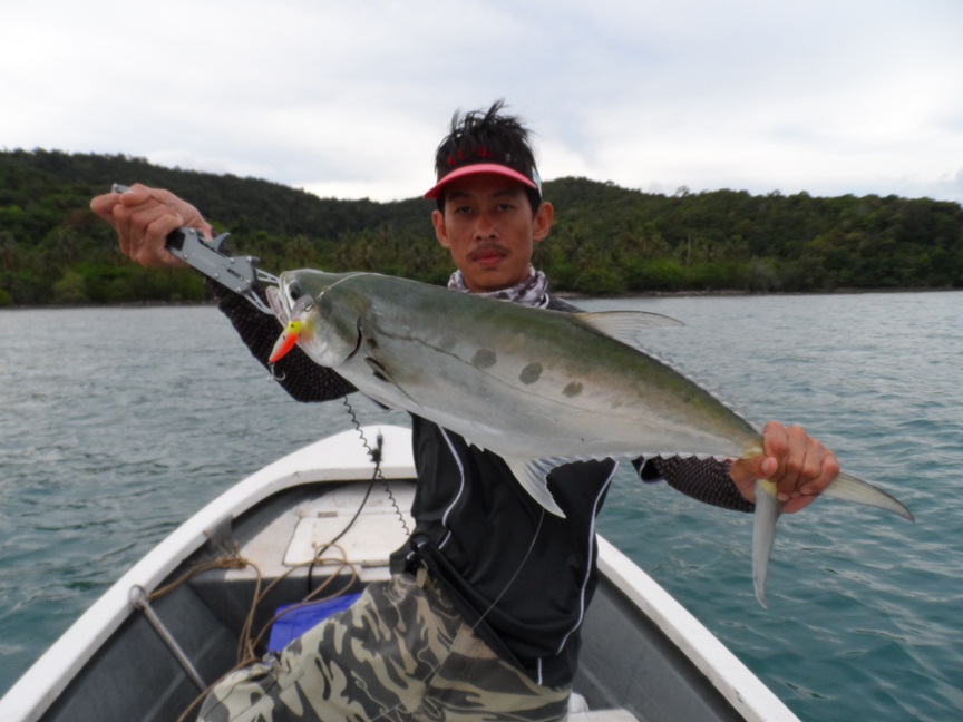 


เหยื่อ: Rapala maxrap fat minnow 9 uv  :love: :love: :love: