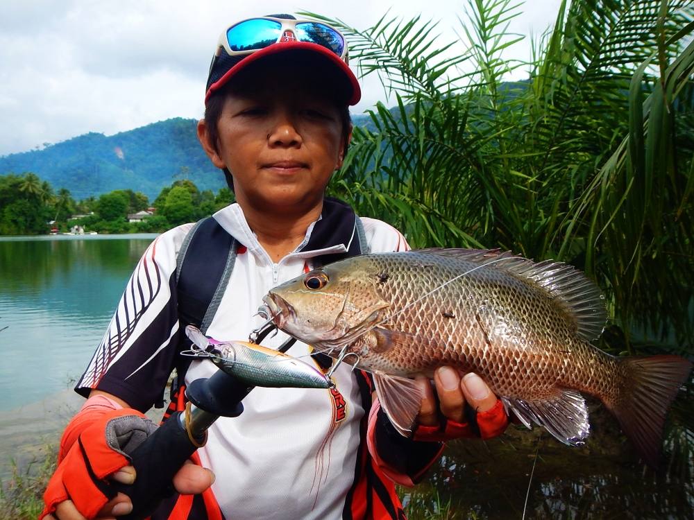  
[center]น้ากรมจั่ว.....แดงเขี้ยว หรือ ปลากระพงแดง ขึ้นมาครับ 
Species : Mangrove Jack, Mangrove 