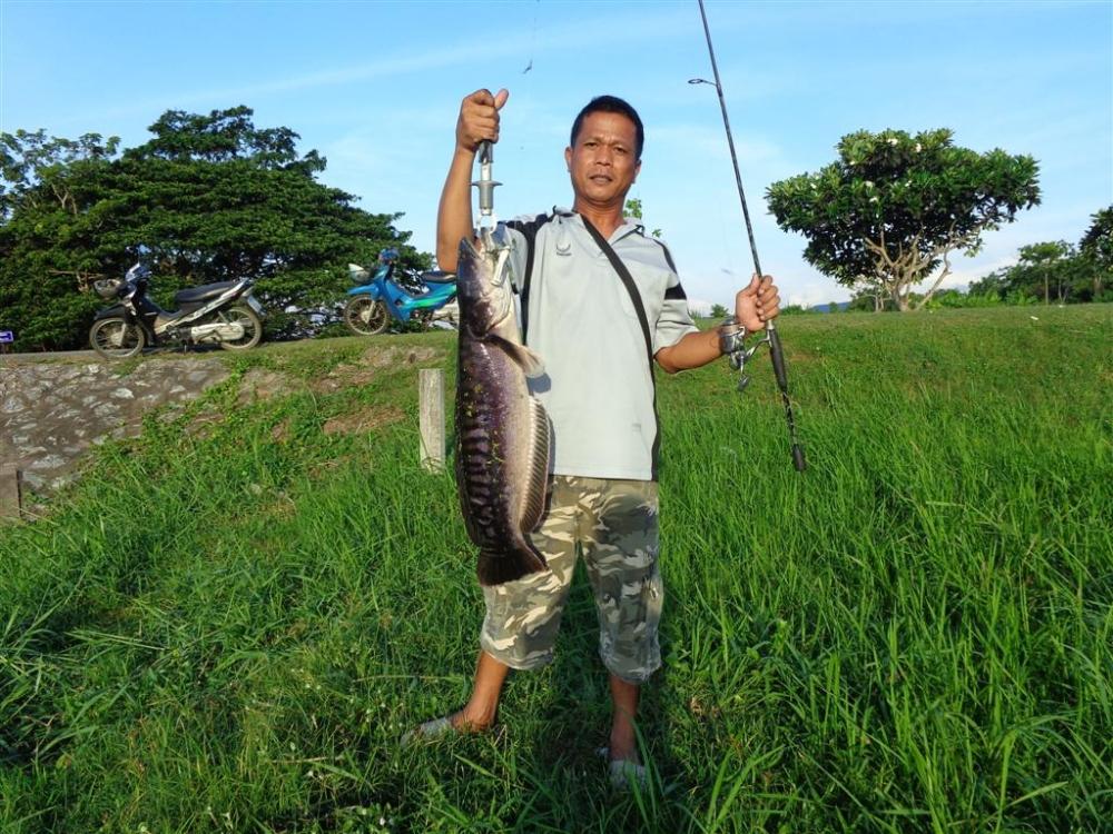 นี่เลย  ผู้พิชิต  เพื่อนป็อก  

RELL-shimano  elf c-3000
LINE-pe2
ROD-abu 
LURE-ribbit