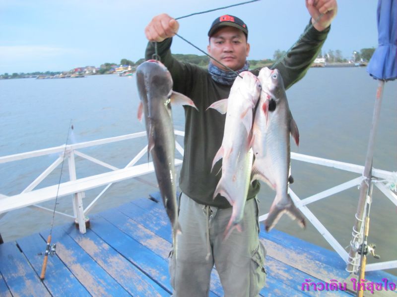  [b]ปลารวมวันแรกครับ ส่วนใหญ่ได้เทโพ กับกระสูบ บางตัวไม่ได้ถ่ายตอนอัดปลา มัวแต่นั่งจิบชา ปลาหน้าดิน 