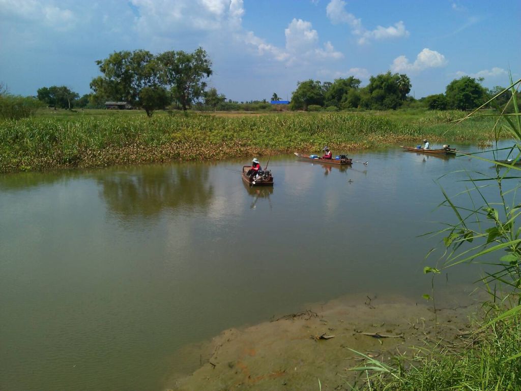 สักพักก็มีเรือมาตกกุ้งกันครับ มาเป็นขบวนเลย เสียดายปลากำลังเข้าแต่คลองเป็นของใช้ร่วมกันทางใครทางมันค