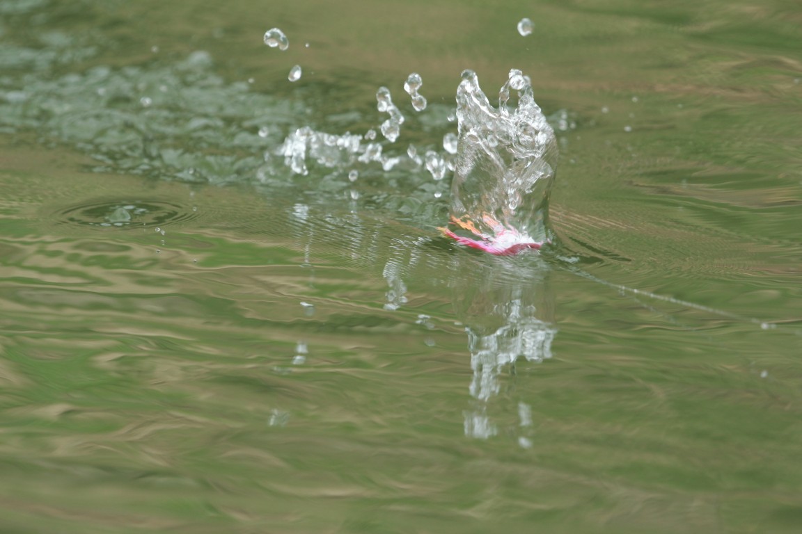  [center]KABUKI Jump Frog Action #3[/center]