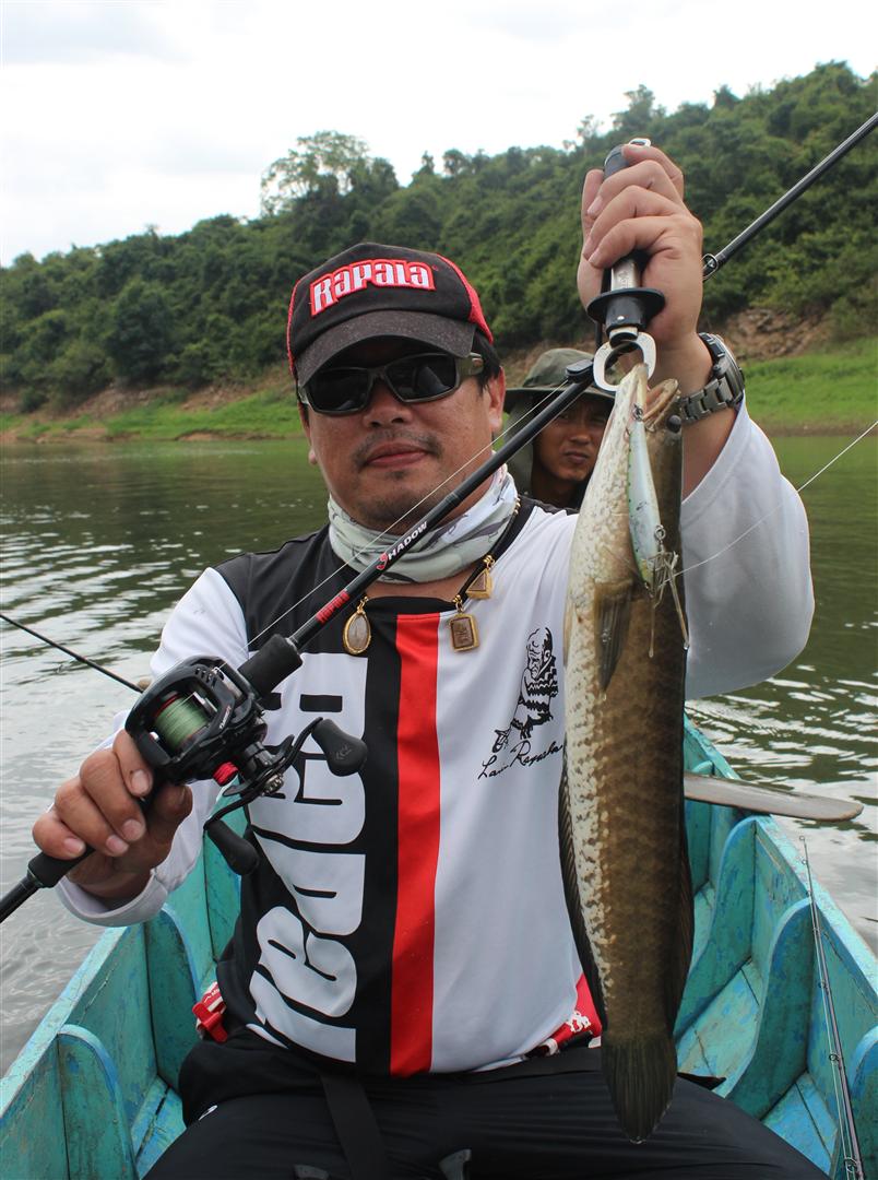 ชนิดปลา-ปลาช่อน

คัน-Rapala Shadow 8-17 lb

รอก-Daiwa Tatula Type R 100H

เหยื่อ-North Craft B