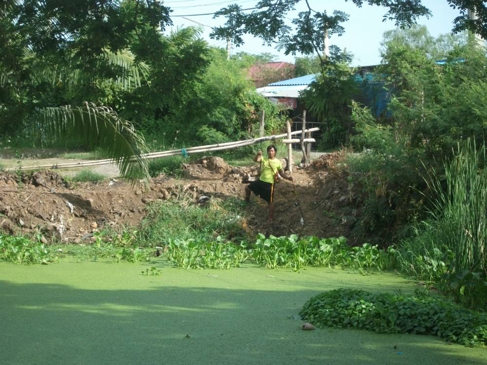 หันมาทางฝั่งตรงข้าม นั่นแน่โปรลูกไก่รอดแล้วจ้า ดีใจด้วย :laughing: :laughing: :laughing: