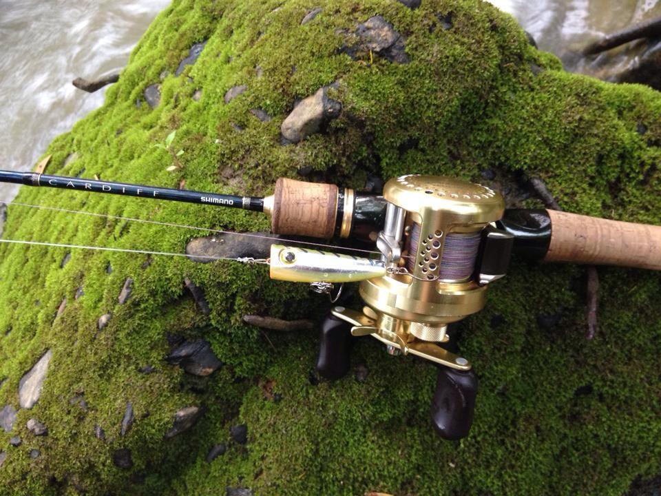 Rod Shimano cardiff x bait
Reel Shimano Conquest Shallow Special 51 :grin: