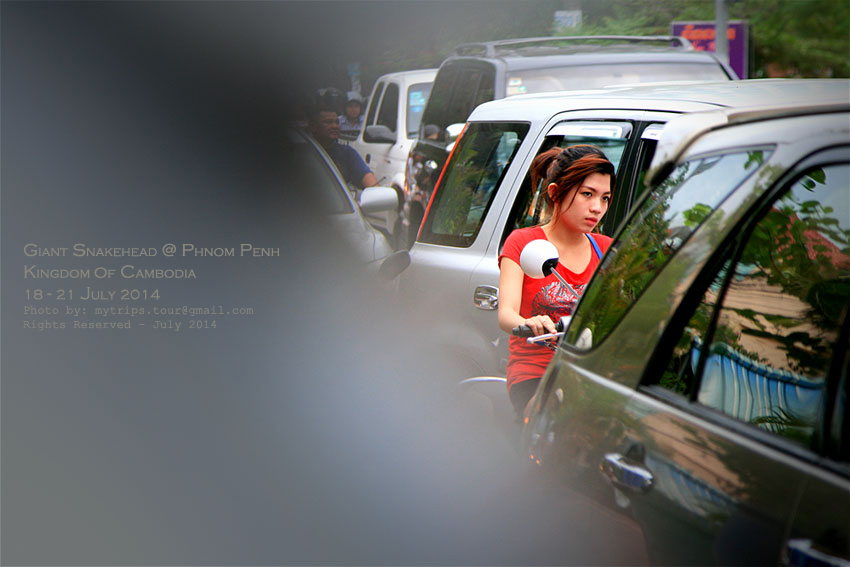 ในเมืองมีรถติดบ้าง นิดๆ หน่อยๆ [i][Subtitle: A bit traffic jam in the city][/i]  :love: