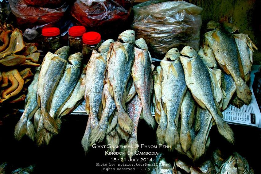 ปลาแห้ง  [i][Preserved dry fish][/i]