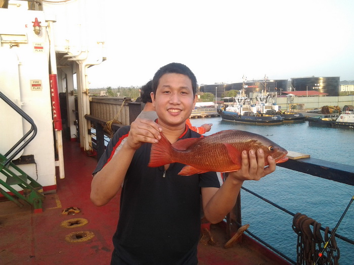 และรอบนนี้เป็นรอบสุดท้ายที่ผมได้มีโอกาสได้ตกปลา 

กระพงแดงตัวน้อยตอนเรือเทียบท่า ที่ประเทศปานามา

