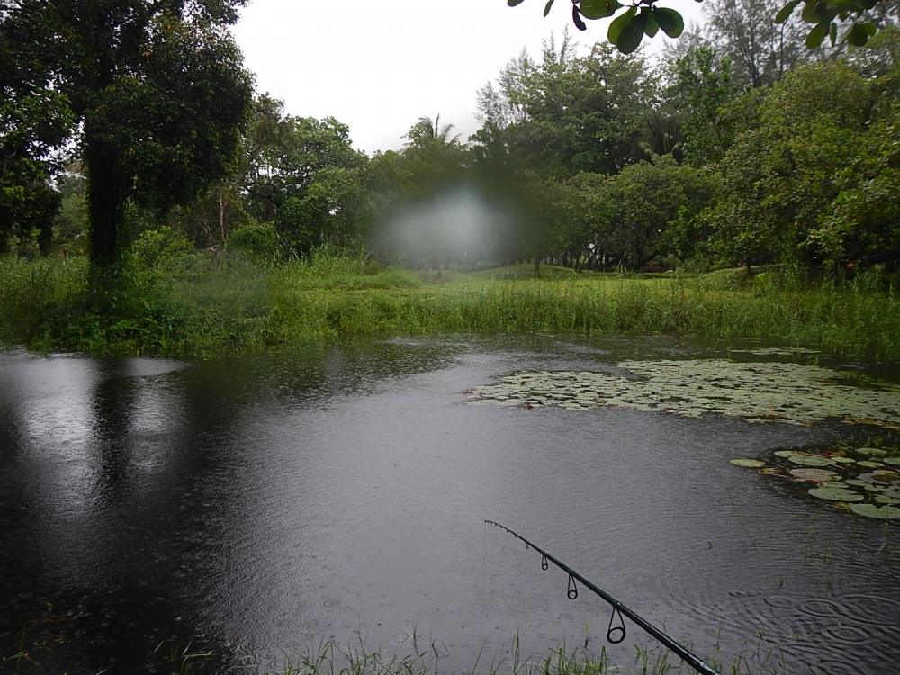 
 [center]ดีนะเนี้ย ที่ฝนตกแล้วฟ้าไม่คำราม ไม่งั้นผมหนีไปนานแระ[/center]

